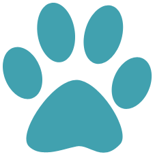 Paw Print Icon