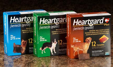 heartgard heartgard