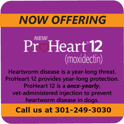 Now Offering ProHeart 12 Now Offering ProHeart 12