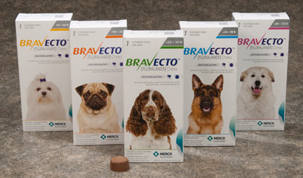 bravecto bravecto