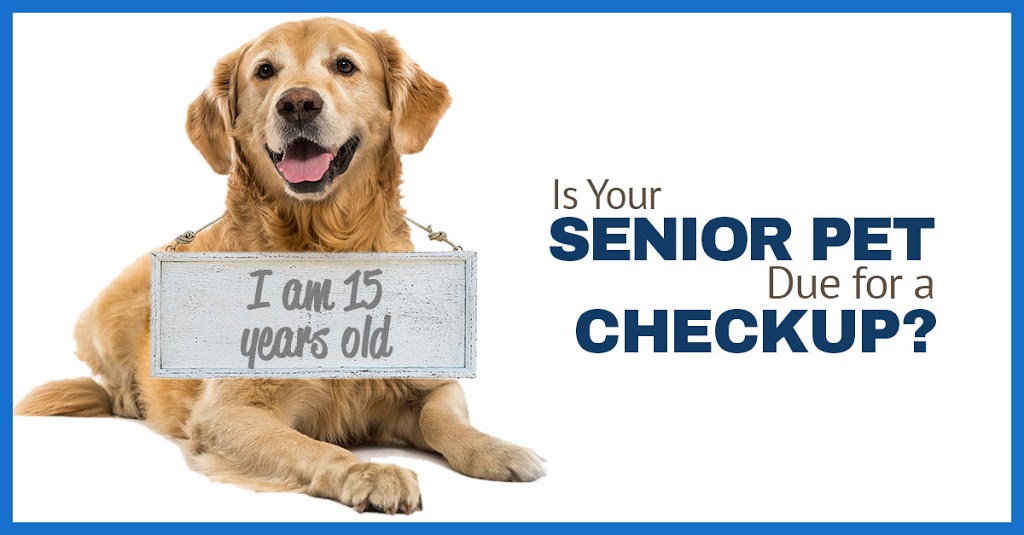senior checkup banner
