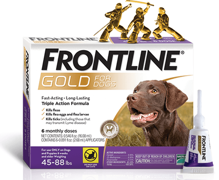 frontline gold