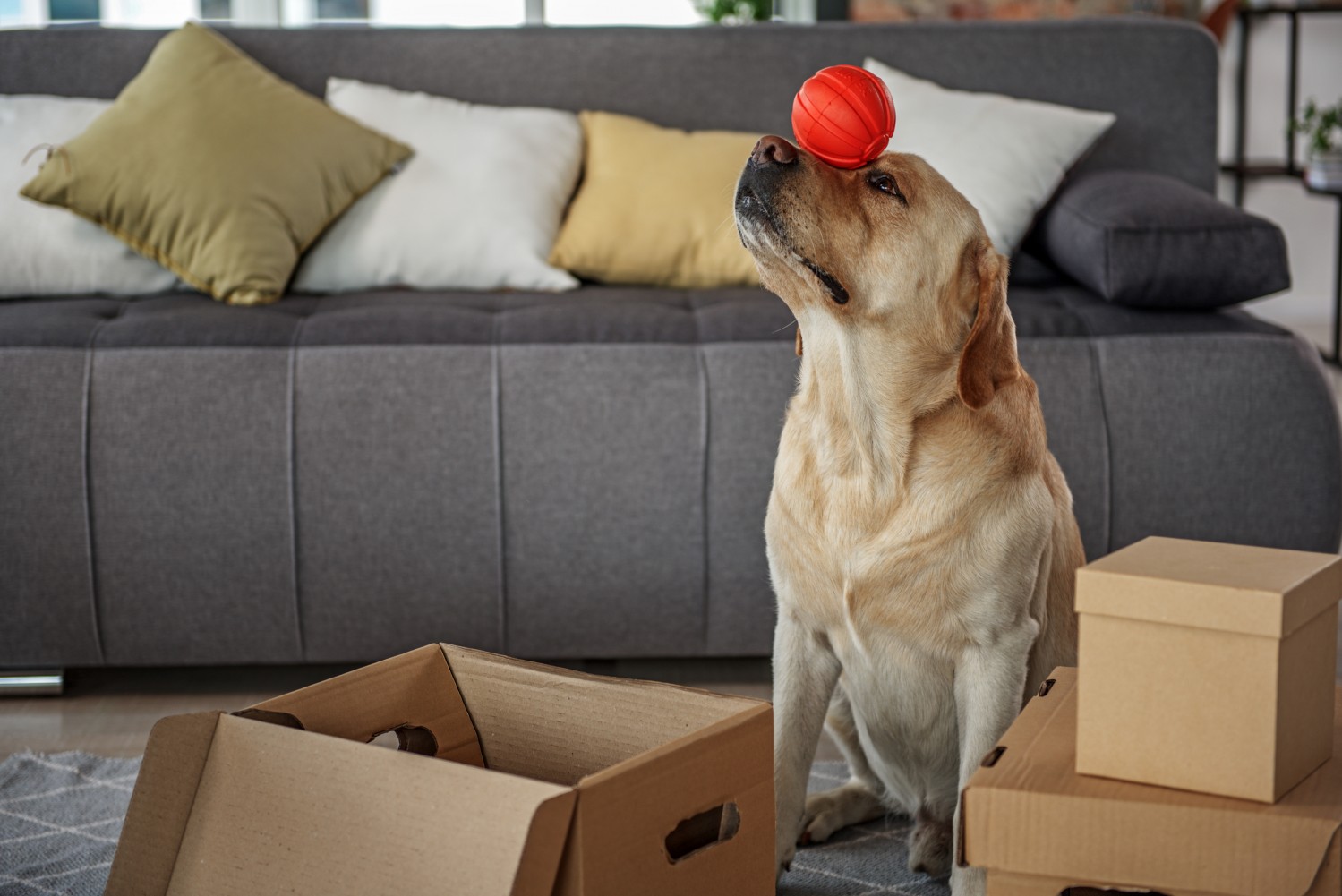 We are moving!